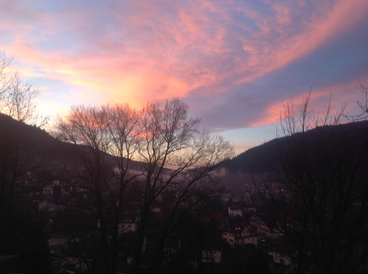 Desire Villa Heidelberg Dış mekan fotoğraf