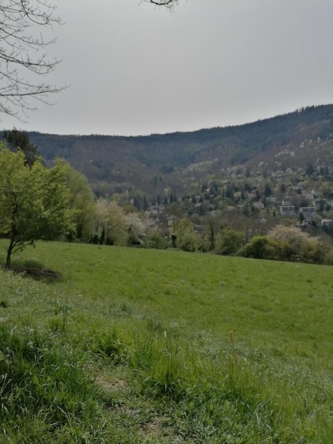 Desire Villa Heidelberg Dış mekan fotoğraf