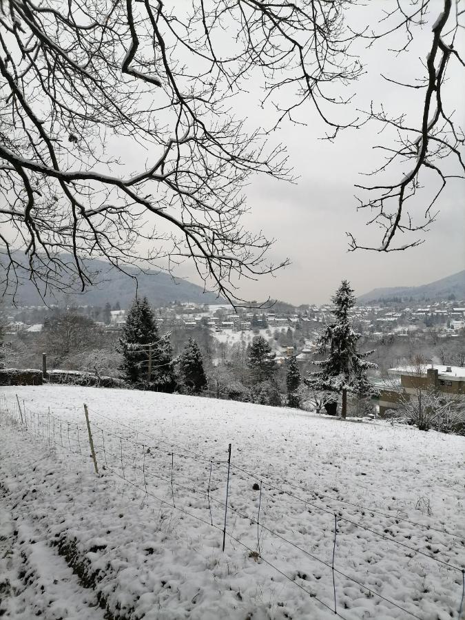 Desire Villa Heidelberg Dış mekan fotoğraf